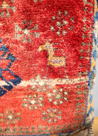 Set Perzische kussens met dierfiguren