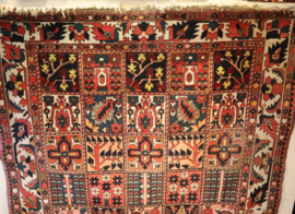 Groot Perzisch kleed Bachtiar 305 x 224 cm