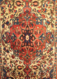 Perzisch kleed Bachtiar 134 x 212 cm.