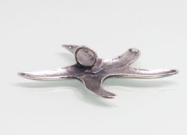 Grote zilveren hanger zeester aan collier