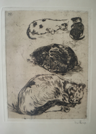 Ets poezen, Willem de Zwart 1862-1931