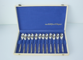 Set van 12 Art Deco zilveren lepels