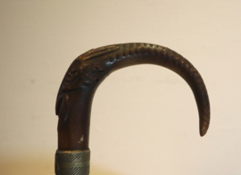 Antieke wandelstok met handvat geitenkop