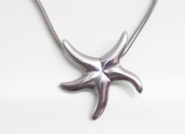 Grote zilveren hanger zeester aan collier