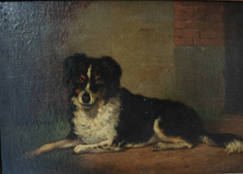 Schilderij van een liggend hondje, Friese Stabij