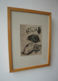 Ets poezen, Willem de Zwart 1862-1931