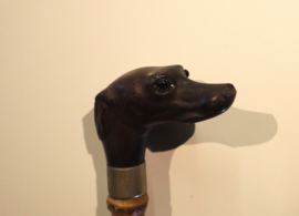 Antieke wandelstok met handvat hond