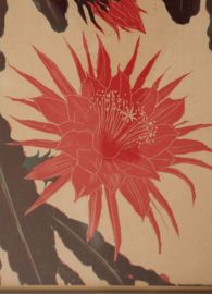 Henri Verstijnen (1882 -1940) druk van een bloeiende cactus.