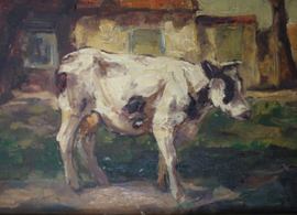 Koe op boerenerf