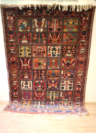 Perzisch kleed Bachtiar 215 x 161 cm.