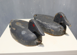 Lokvogels