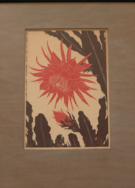 Henri Verstijnen (1882 -1940) druk van een bloeiende cactus.