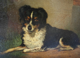 Schilderij van een liggend hondje, Friese Stabij