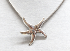 Grote zilveren hanger zeester aan collier