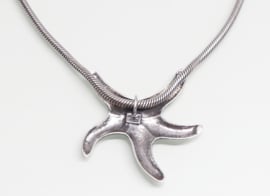 Grote zilveren hanger zeester aan collier