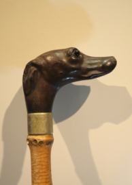 Antieke wandelstok met handvat hond