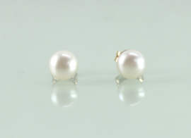 Oorknoppen 18k goud bouton parel 5,8 mm
