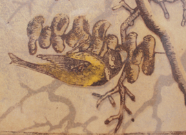 Houtdruk vogels Louis Haver (1906-1966)
