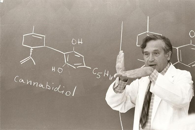 Il biochimico israeliano Raphael Mechoulam, che è riuscito a determinare il CBD per la prima volta