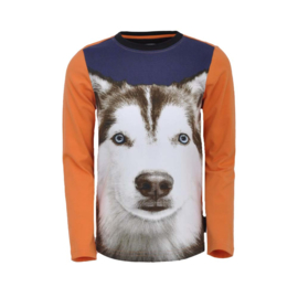 Shirt met fotoprint van wolf, Legends22