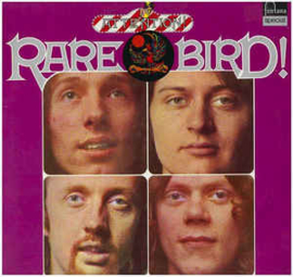 Rare Bird ‎– Attention! Rare Bird!
