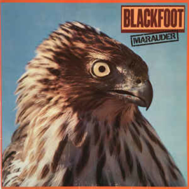 Blackfoot  ‎– Marauder