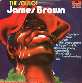 James Brown And His Famous Flames ‎– The Soul Of James Brown