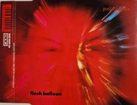 Pale Saints – Flesh Balloon (CD)