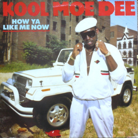 Kool Moe Dee – How Ya Like Me Now