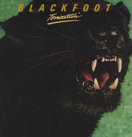 Blackfoot ‎– Tomcattin'