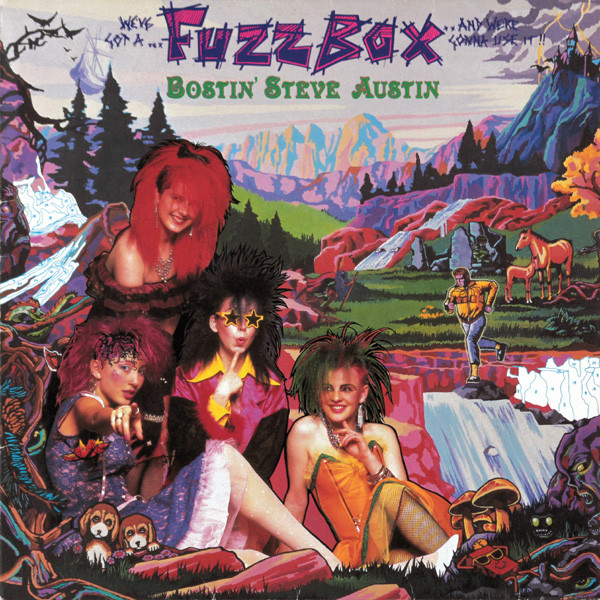We've Got A Fuzzbox And We're Gonna Use It – Bostin' Steve Austin