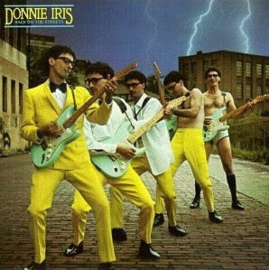 Donnie Iris – Back On The Streets