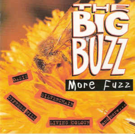 Big Buzz: More Fuzz (CD)