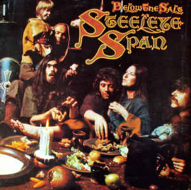 Steeleye Span ‎– Below The Salt