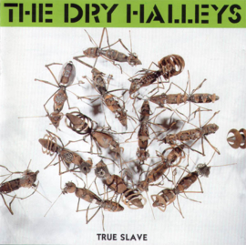 Dry Halleys – True Slave (CD)