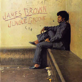James Brown ‎– In The Jungle Groove (CD)