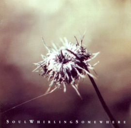 Soul Whirling Somewhere – Everyone Will Eventually Leave You (CD)