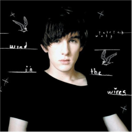 Patrick Wolf – Wind In The Wires (CD)