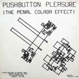 Pushbutton Pleasure / ('Jung Analysts' Branch Of) Push-Button Pleasure ‎– (The Penal Collada Effect) / A Leading Surgeon Speaks!