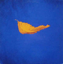 New Order ‎– True Faith