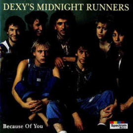 Dexys Midnight Runners ‎– Because Of You (CD)