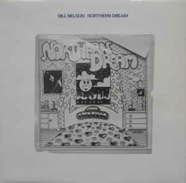 Bill Nelson ‎– Northern Dream