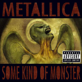 Metallica – Some Kind Of Monster (CD)