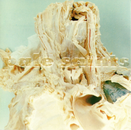Pale Saints – In Ribbons (CD)