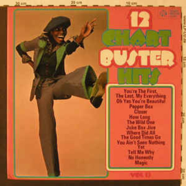 Various ‎– 12 Chart Buster Hits Vol 13