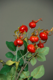 Rose Hip Spray x3 58cm