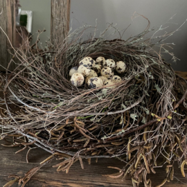 Workshop  stoer paas nest donderdagavond 31 maart 2022 19.30uur tot 21.30uur in Oostvoorne