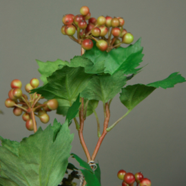 Guelder Rose Berry 58cm