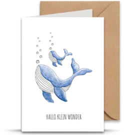 Hallo klein wonder | Walvissen