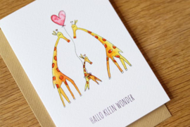 Hallo klein wonder | Giraffen